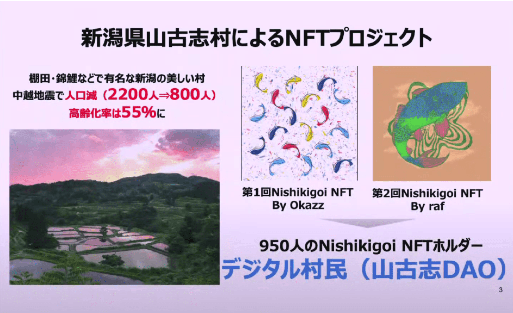 錦鯉NFT説明資料